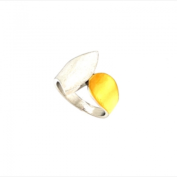 CEM ST8-142R/52 4-2002914-001 Edelstahl Damenring Bicolor Gr. 52