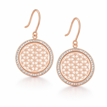 CEM Ohrschmuck ST6-101