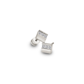 CEM Titan Ohrschmuck CT6-013