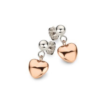 CEM Titan Ohrschmuck CT6-108