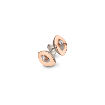 CEM Titan Ohrschmuck CT6-134