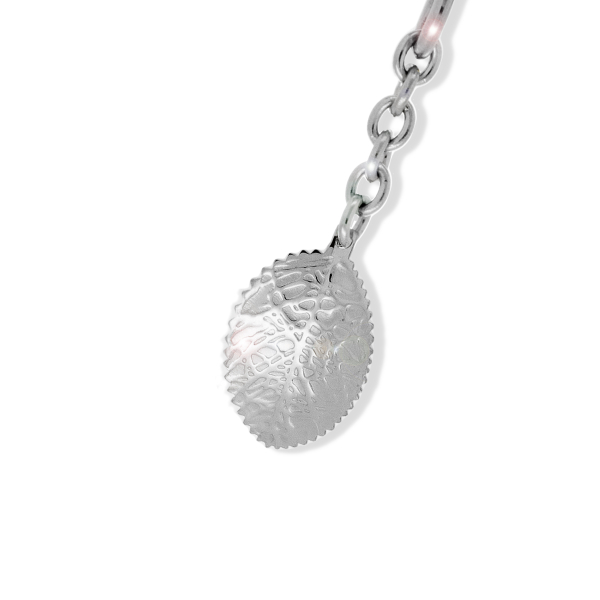 kein Bild verfügbar