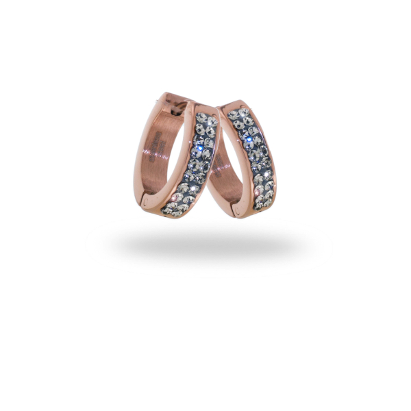 CEM Ohrschmuck ST6-178